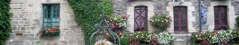 Banner profilu