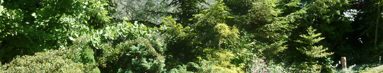 Banner profilu
