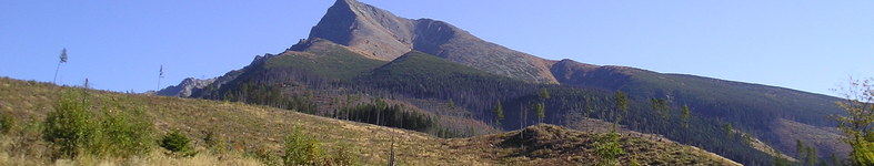 Banner profilu