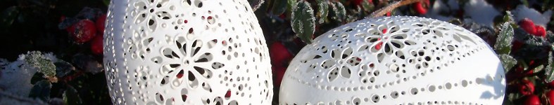 Banner profilu