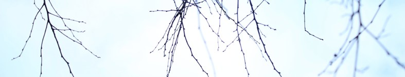 Banner profilu