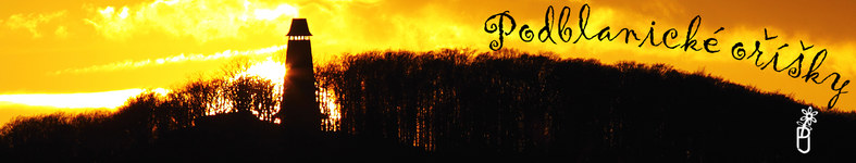 Banner profilu