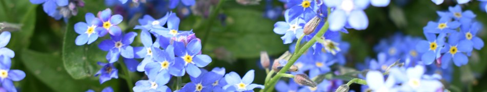 Banner profilu