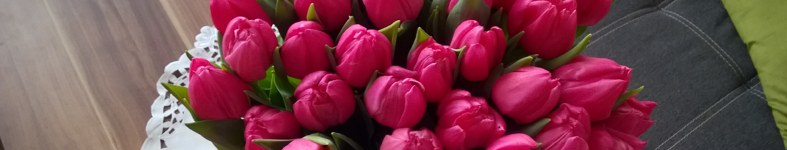 Banner profilu