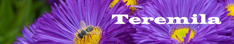 Banner profilu