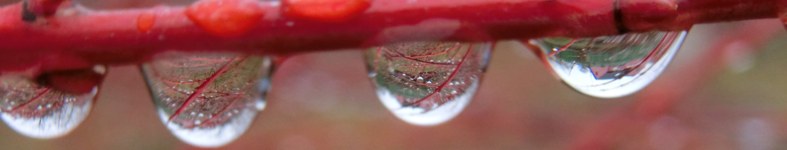 Banner profilu