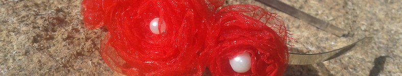 Banner profilu