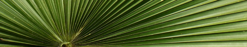Banner profilu