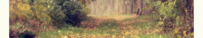 Banner profilu