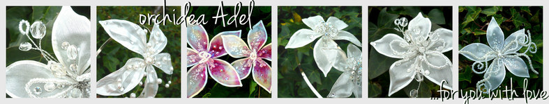 Banner profilu