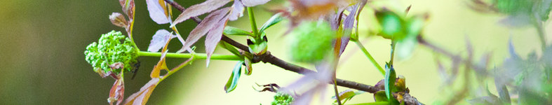 Banner profilu