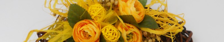 Banner profilu