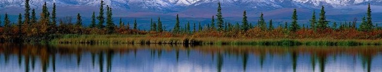 Banner profilu