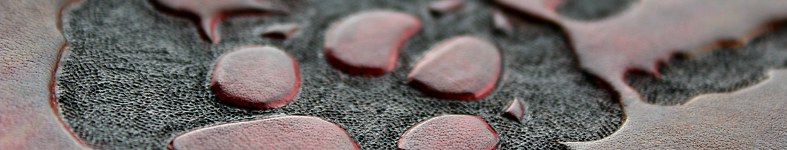 Banner profilu