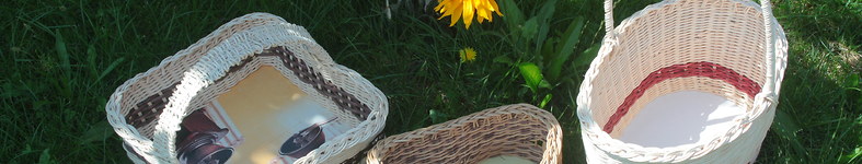Banner profilu