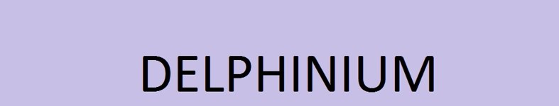 Banner profilu