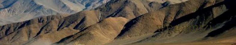 Banner profilu