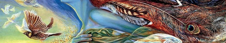 Banner profilu