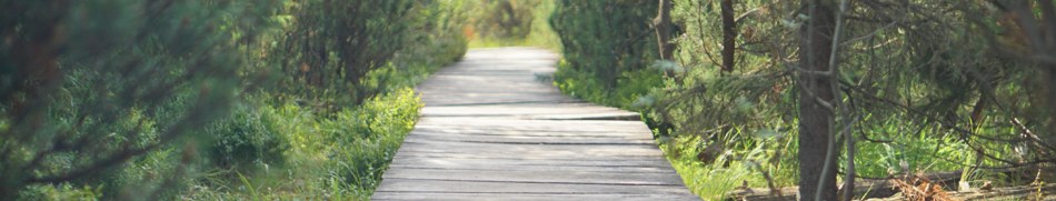 Banner profilu