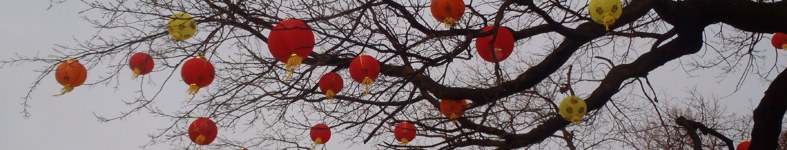 Banner profilu