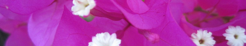 Banner profilu