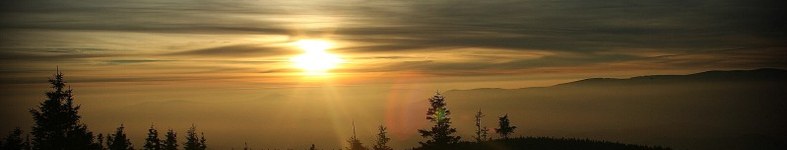 Banner profilu