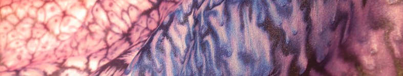 Banner profilu