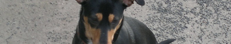 Banner profilu