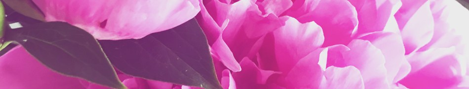 Banner profilu