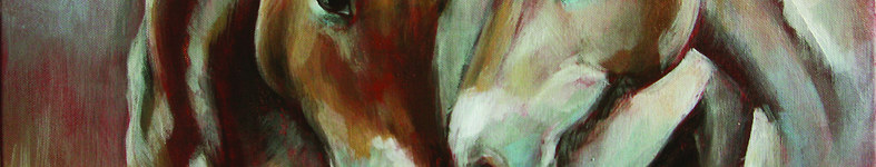 Banner profilu