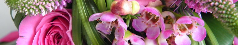 Banner profilu