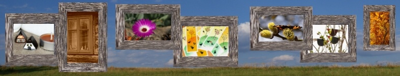 Banner profilu