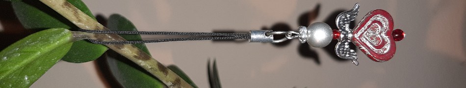 Banner profilu