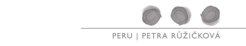 Banner profilu