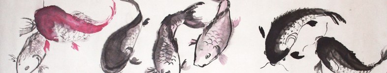 Banner profilu