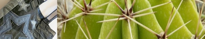 Banner profilu
