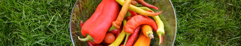 Banner profilu