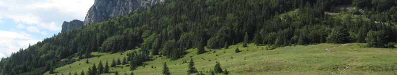 Banner profilu