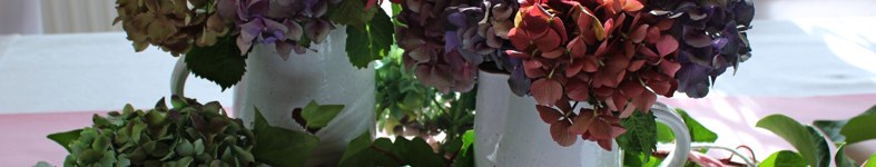 Banner profilu