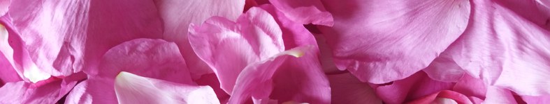 Banner profilu