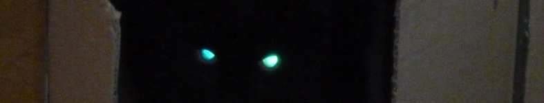 Banner profilu