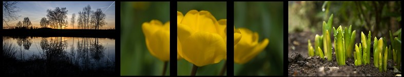 Banner profilu