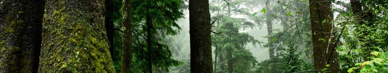 Banner profilu