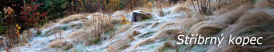 Banner profilu