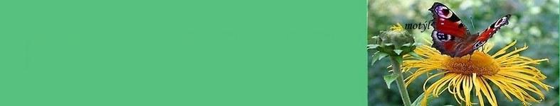 Banner profilu