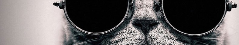 Banner profilu