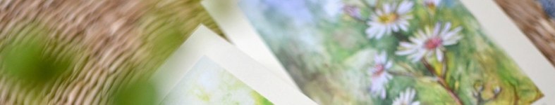 Banner profilu