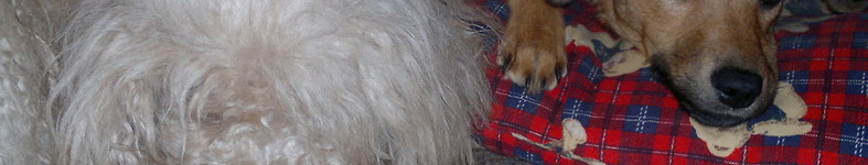 Banner profilu
