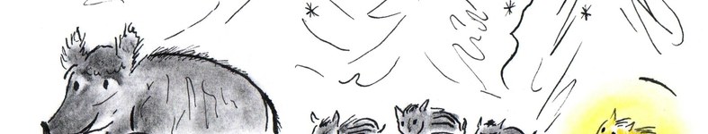 Banner profilu