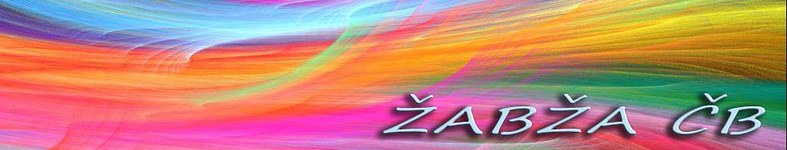 Banner profilu